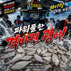 [광어조황] 7.29 하와이호 광어다운샷 조황소식