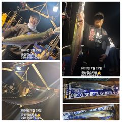 군산킹스타호(7/29)야간고등어 실시간(30일도 출조합니다)