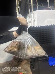오늘 야간문어 출조확정 자리여유 주말 자리여유 많습니다