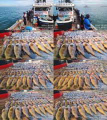  ♥붉바리들..이정도는 잡아봐야지요 붉바리조황입니다[2026년07월29일] ◎ 해마루호가 뜨는이유? 조황때문이죠 ◎ 핵심포인트: 바로진입.. 바로히트.. ▣ 차원이 다른 조황으로 모십니다 ▣ 요즘 붉바리낚시가 대세입니다