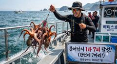 통영] 문어 사량도 굴어장 간단 조황 29일(수) 통영 메티스호