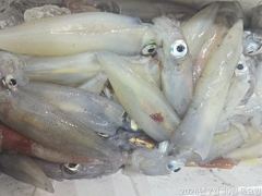 왕한치마릿수굿/원도권갈치손맛보려고~~