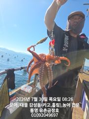 통영 금정호 오전문어선상 묵직한손맛조황 내일 주말 여유자리있습니다