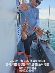 통영 금정호 아침부터 일타쌍피!!! 오늘오후자리있습니다