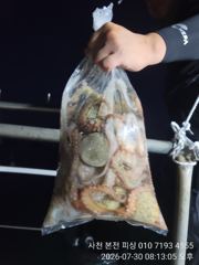 돌문어 오후 조황 입니다.내일도 갑니다 ~