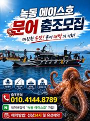 출조모집