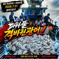 [광어조황] 7.31 하와이호 광어다운샷 조황소식