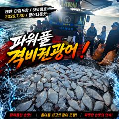 [광어조황] 7.30 하와이호 광어다운샷 조황소식