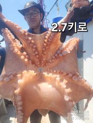 여수돌문어8월10일부터자리가능2.7K1.8K1.3K1.3K1.2K1.1K