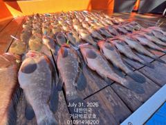 고흥.거금박프로호 붉바리외수질 전문선사조황 