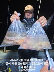 통영 금정호 오후문어 키로급이 막덤빕니다 주말 오전오후타임 자리있습니다