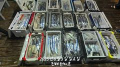 7월 31일 부터 준내만 갈치,텐빈 출항합니다!!
