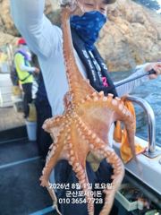 8월1일-야간문어 실시간 조황