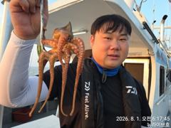 1일, 군산문어~본격 시즌 시작~~~주,야간문어 매일 갑니다~군산 뉴라이브호