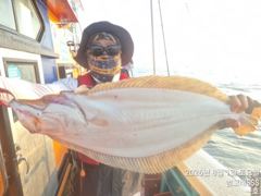 8/1, 대광어~ 날이면 날마다 오늘도 굿굿~실시간~~대광어, 농어, 우럭 연일 대박조황~ 군산 범고래호