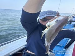8/1, 군산백조기~잘나오고 잇어요~실시간~~ 군산 뉴빅토리호