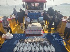 8월1일 전곡항선상낚시 레인보우외수질조항