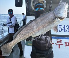 [격포블루마린호] 8/1 생미끼 조황