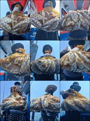 [백조기] ♡백조기♡ 8월 1일 굿~! 굿~! 조황~!^^