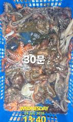 7월29일 조황