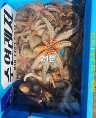 7월22일 조황