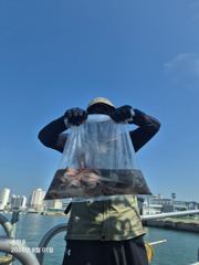 8월1일 팀보스선단 문어 조황