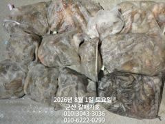 7월31일 금요일 갈매기호 야간 조황