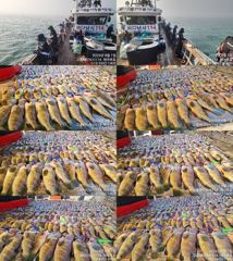 ♥ 붉바리들..이정도는 잡아봐야지요 초대박 붉바리조황입니다[2026년08월01일] ◎ 해마루호가 뜨는이유? 조황때문이죠 ◎ 핵심포인트: 바로진입.. 바로히트.. ▣ 차원이 다른 조황으로 모십니다 ▣ 요즘 붉바리낚시가 대세입니다