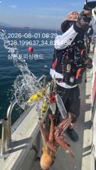 오늘 문어 씨알 좋네요~<~