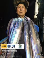(통영라임호) 8월1일 입항 갈치조황! 다음주지리여유있습니다 연락주세요 ㅡ01023004931