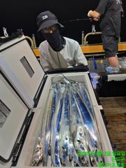 8.1일 토욜 갈치텐빈텐야 조항입니다!