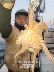 1일, 밤에 낚이는 군산문어~~실시간~야간문어 매일 갑니다~군산 포세이돈호