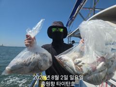 홍원항 [타이탄호] 8월2일(일) 토독토독 사이즈 좋아 묵직한 백조기조황