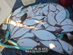 [광어조황] 8/2 태풍호 광어다
