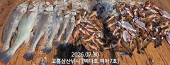 [민어] [나로도 외수질 시즌!] 대형민어, 붉바리 조황!! [화,수 자리여유~문의010-4848-0776]