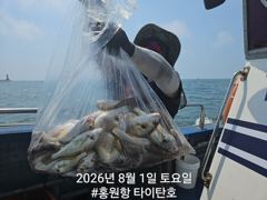 [백조기조황] [홍원항 타이탄호] 8월1일(토) 사이즈 좋은 백조기 가 따박따박~
