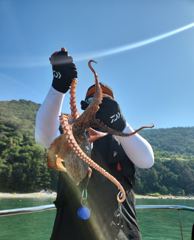 1일(토) 문어낚시 조황입니다 