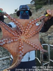 ♡어비스호~ 2일 야간문어 실시간~~♡