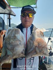 돌문어 굿굿