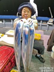 8월2일 입항소식 갈치조황입니다