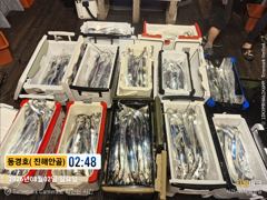 돔경호~ 2일 준내만갈치 조황(월욜.예약가능)