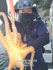 2일, 밤에 낚이는 군산문어~문어 본격시즌~~실시간~~야간문어 매일 갑니다~군산 포세이돈호