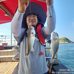 26년8월2일 홍원항 백두산호 백조기 조황입니다..