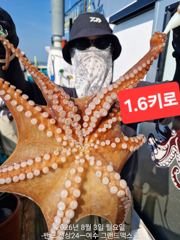 1.6키로 추가~~~여조사님들 오늘은 화이팅넘치시네요.