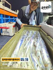 3일입항흥부낚시 밤새 준수한 3지급  수.목 자리여유