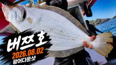 오늘의조황 - [배쯔호] 8월2일 광어다운샷 - 마검포 팀바이트호,선상낚시 전문