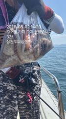 간만에 뜰채질좀 했네요.