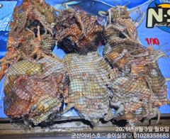 ♡어비스호~ 2일 소수인원 10분 야간문어 조황♡