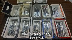2026.08.03일 준내만 갈치 조황입니다.