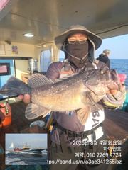 8/4일, 먼침선, 개우럭,쌍걸이등~싸이즈 굿~실시간~오늘도 고등어,삼치,갈치 갑니다~강추~군산 하이원호